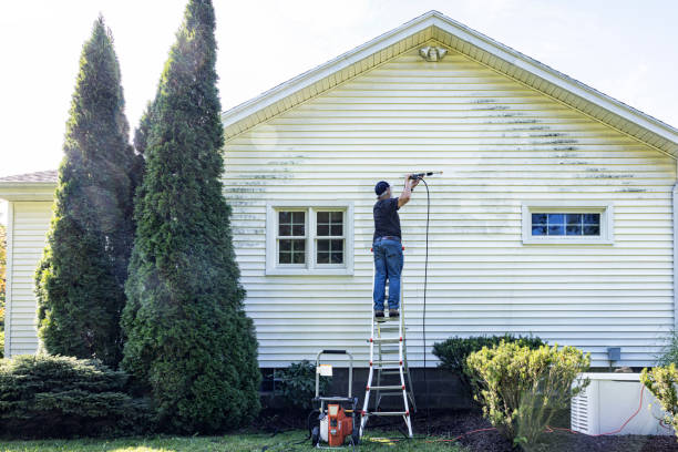 Solar Panel Cleaning in Medford, MN